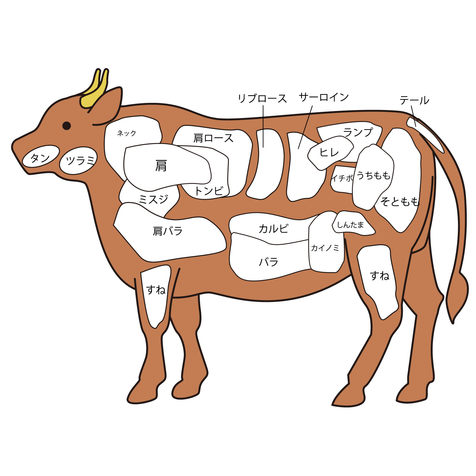 牛肉の部位|肉質の特徴・おすすめの調理法を徹底解説! - 焼肉食べたい
